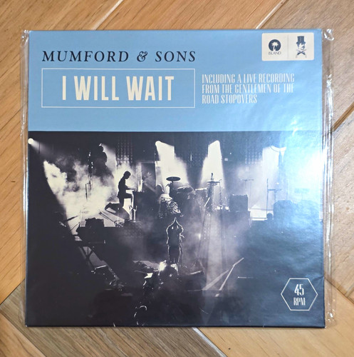 Mumford sons i will - sons,